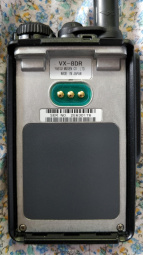 Back view