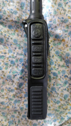 Left side view