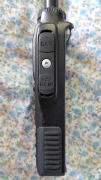 Right side view